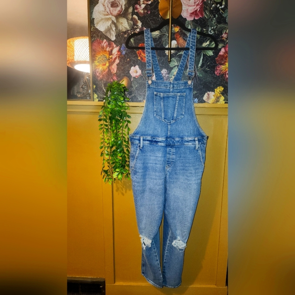 Old Navy Stylish Women's Blue Denim Overalls